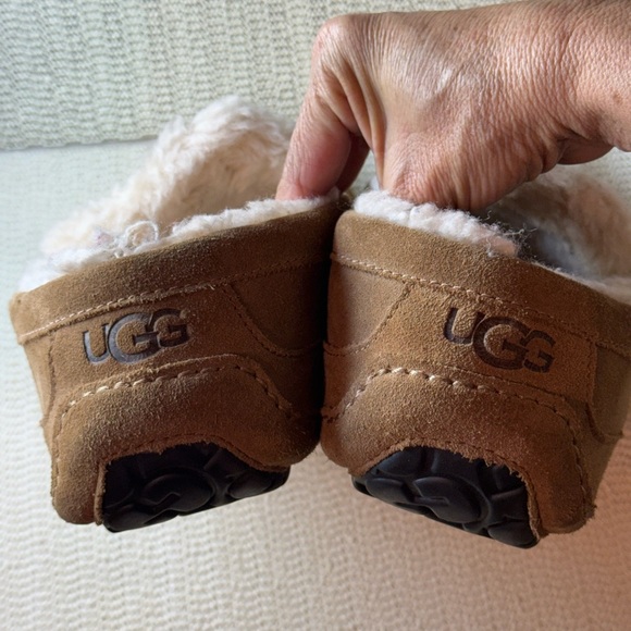 UGG Men\'s Ascot slippers in chestnut 12 main image 7